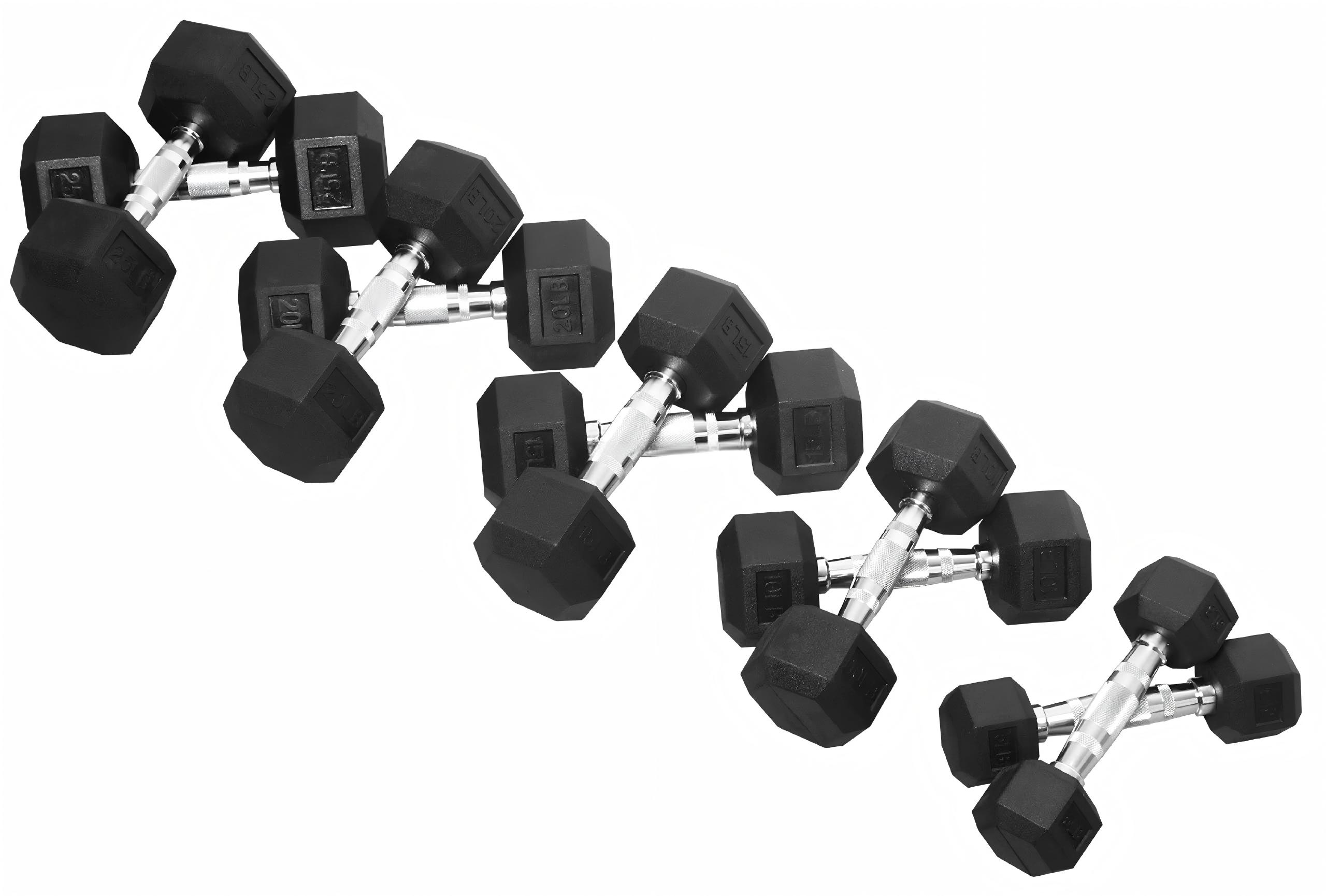Premium Rubber Coated Hex Dumb - Home Gym Build ulasan dan harga