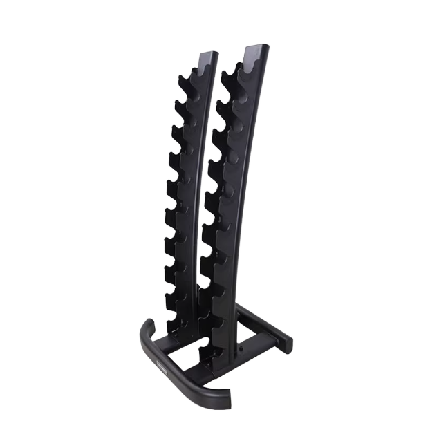 2026 Gym Dumbbell Rack Bench T - Home Gym Organization ulasan dan harga