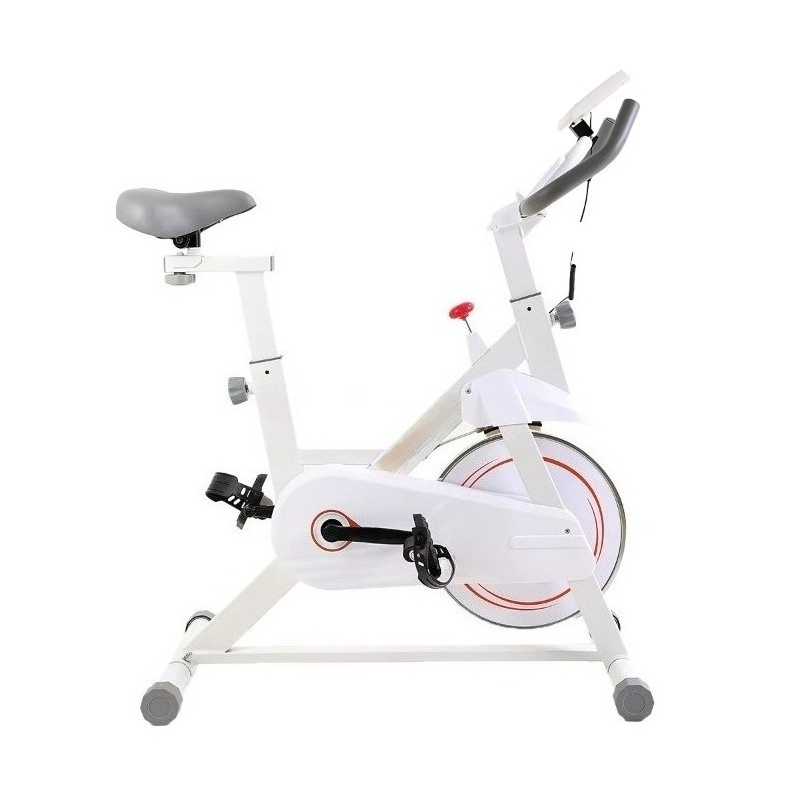 New Professional Spinning Bike - Home Gym Layout ulasan dan harga