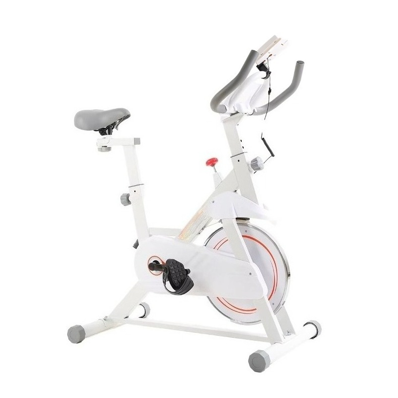New Professional Spinning Bike - Home Gym Layout ulasan dan harga