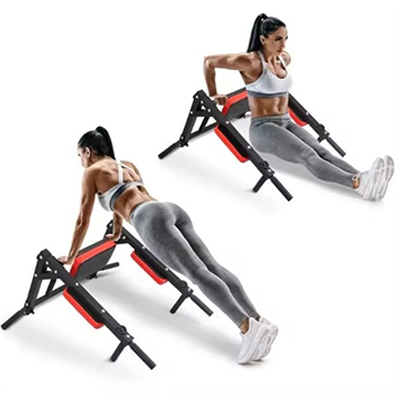 Heavy Duty Wall Mounted Parall - Home Gym Wall Mounted ulasan dan harga