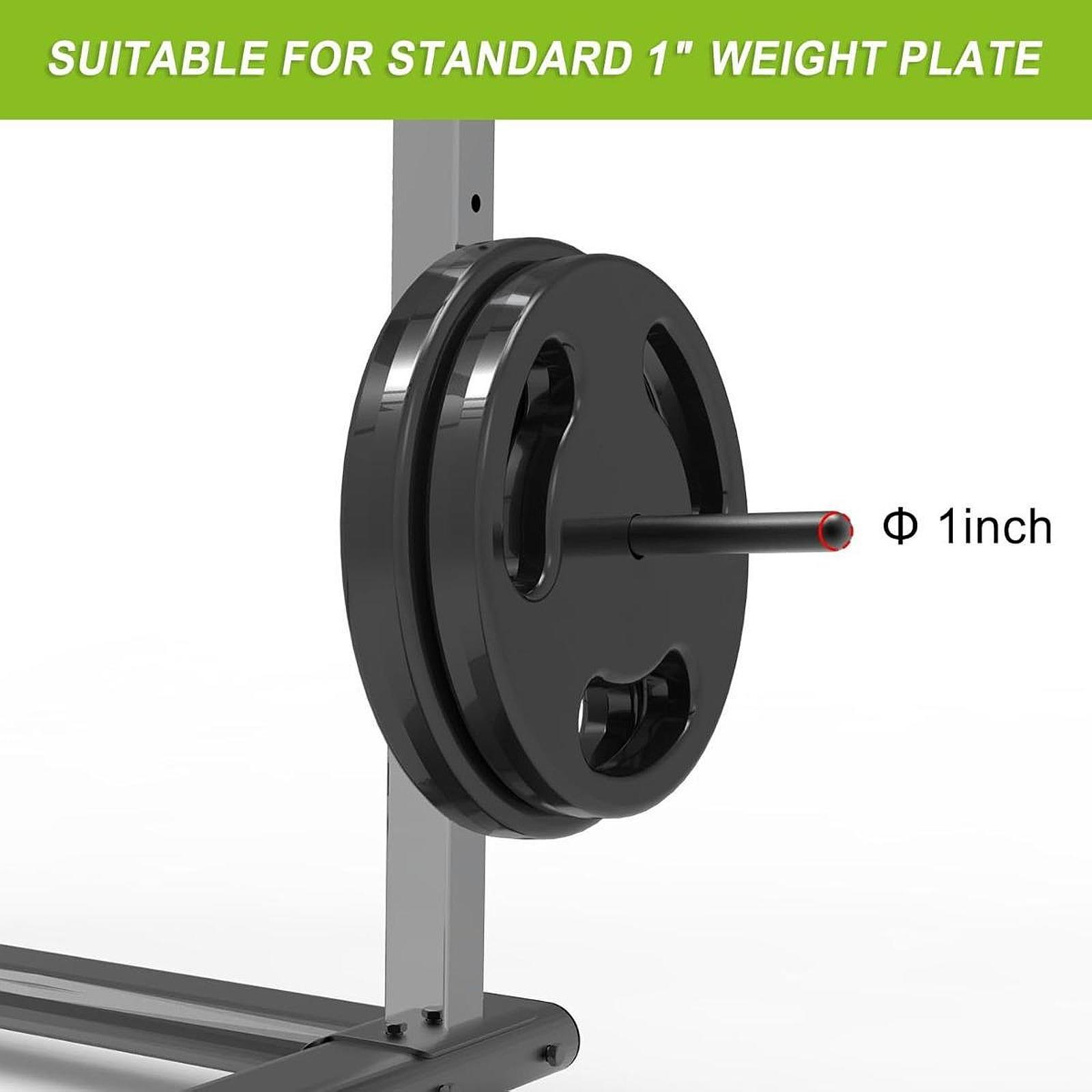 Space Saving Barbell Plate Han - Home Gym Organization ulasan dan harga