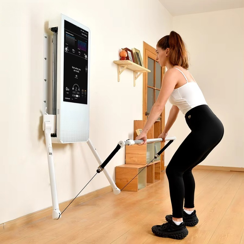 Multifunctional Home Fitness E - Home Gym Organization ulasan dan harga