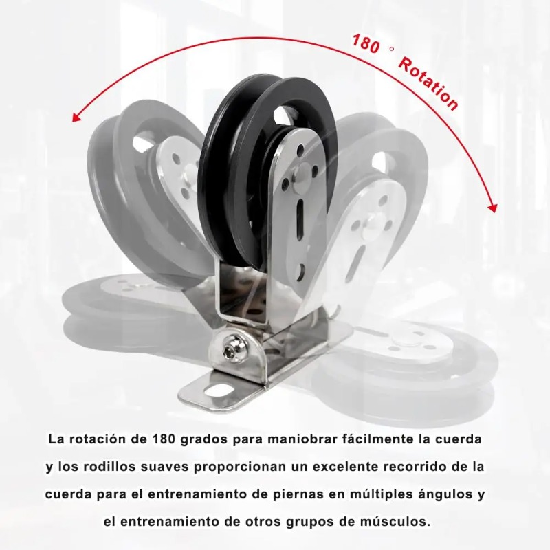 Mute Rotatable Stainless Steel - Home Gym Wall Mounted ulasan dan harga